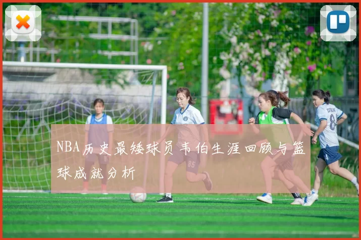 NBA历史最矮球员韦伯生涯回顾与篮球成就分析